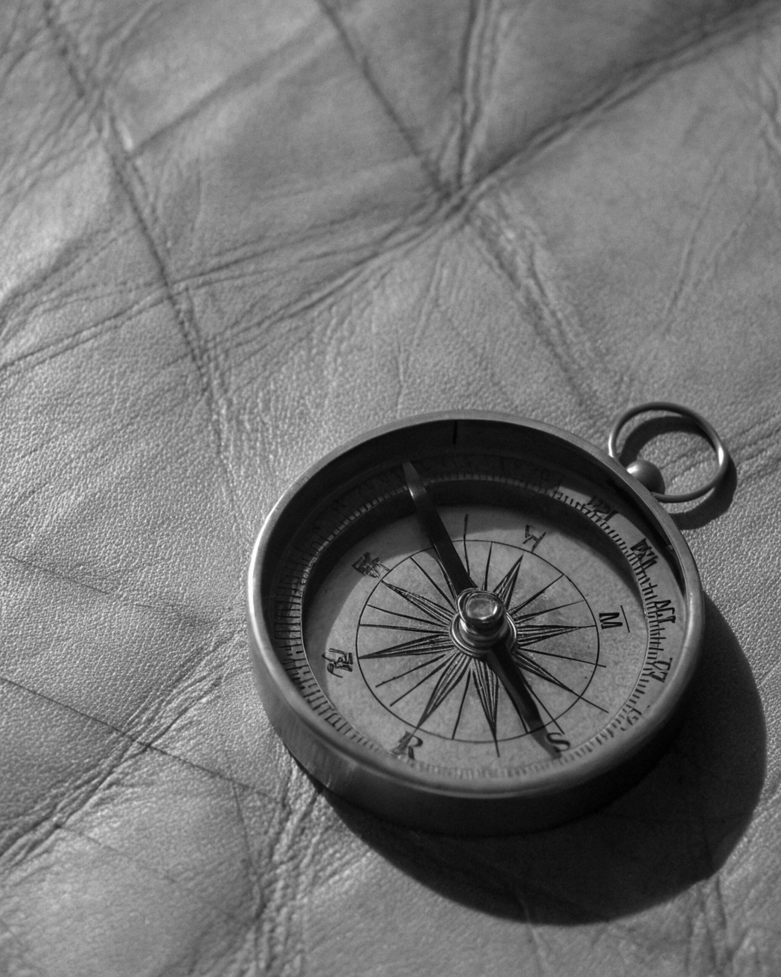 Glistening Spiderweb