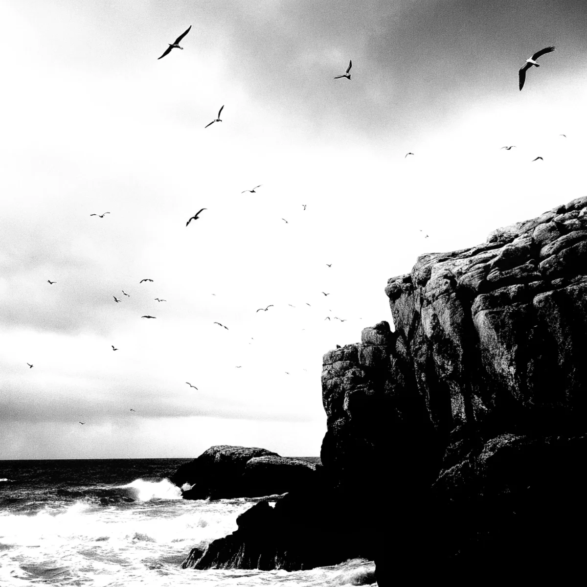 Black&White Bundle - 20 Photos Tonal Narrative