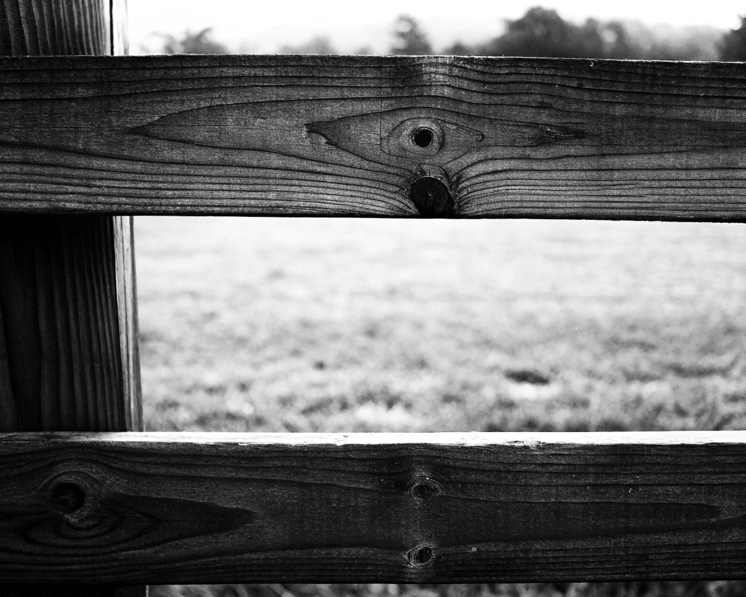Weathered Wooden Fence