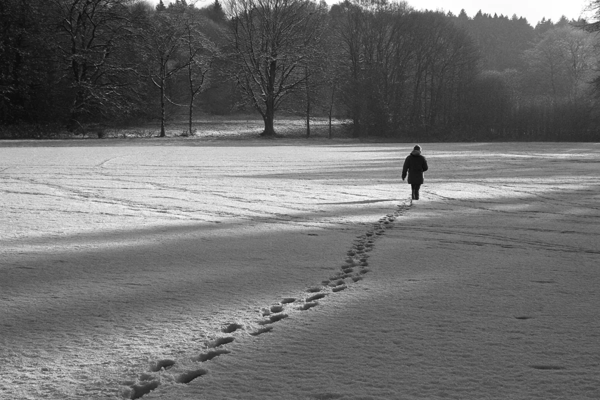 Snowy Valley Footprints