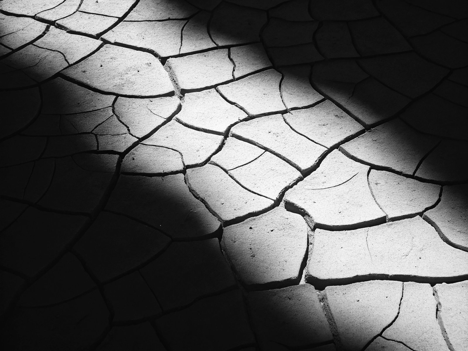 Cracked Desert Floor