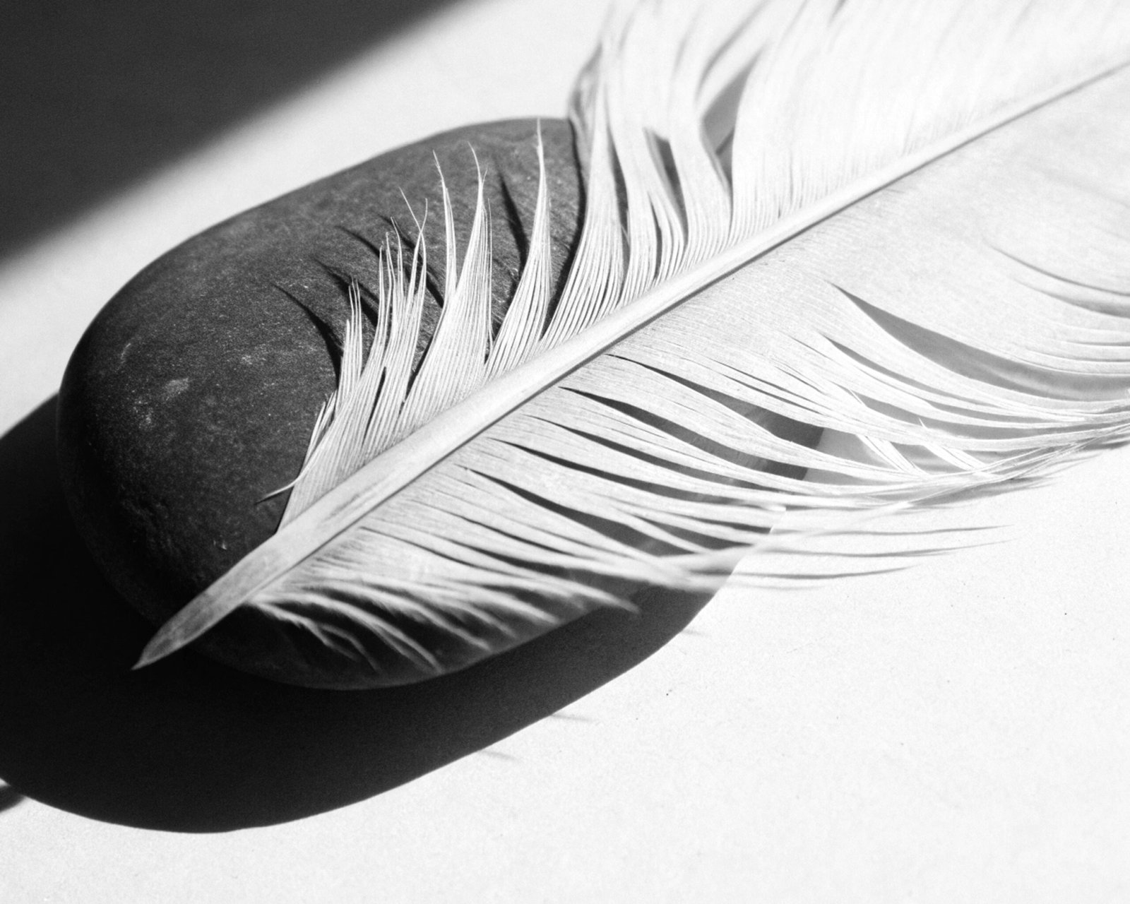 Feather on a Stone