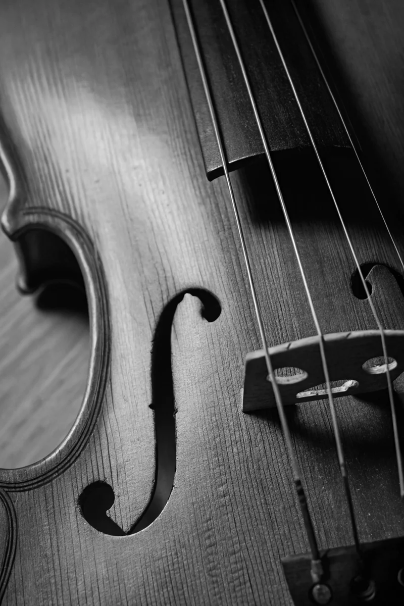 Black&White Bundle - 20 Photos Structural Focus