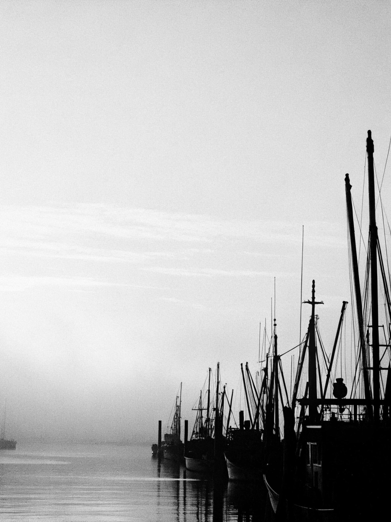 Foggy Harbor at Dawn