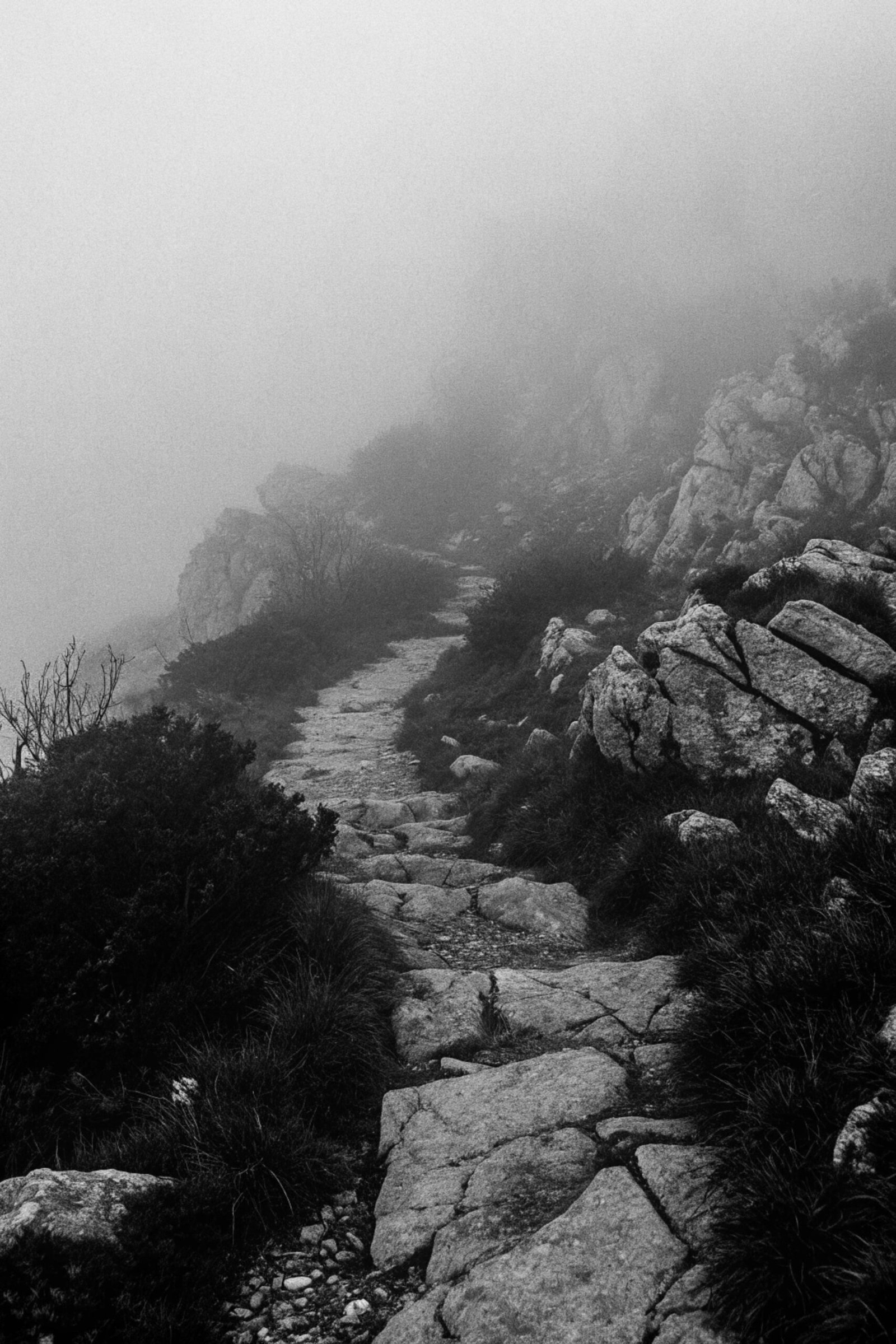 Foggy Mountain Path