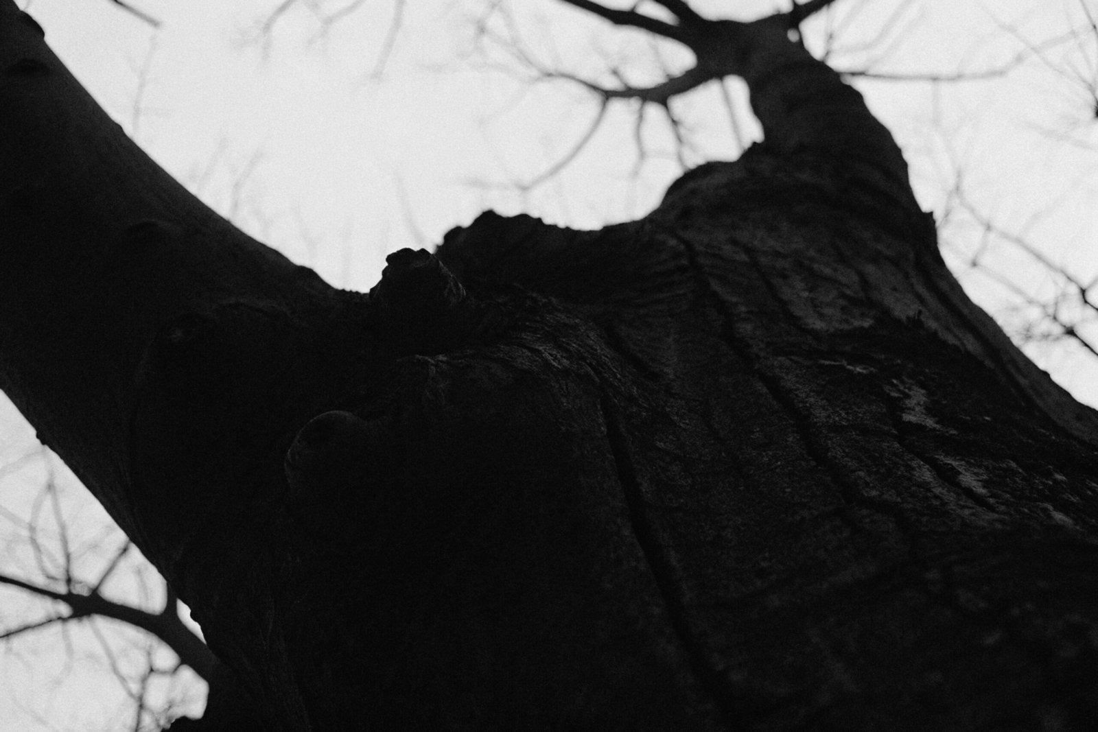 Bustling Port at Dawn