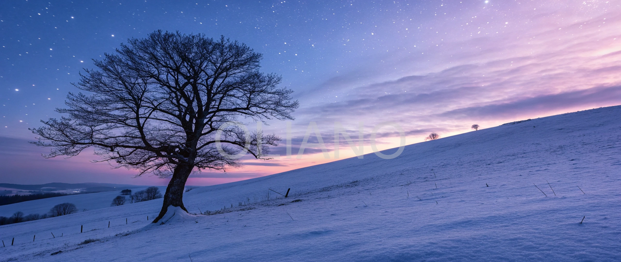 Snowy Hillside Serenity
