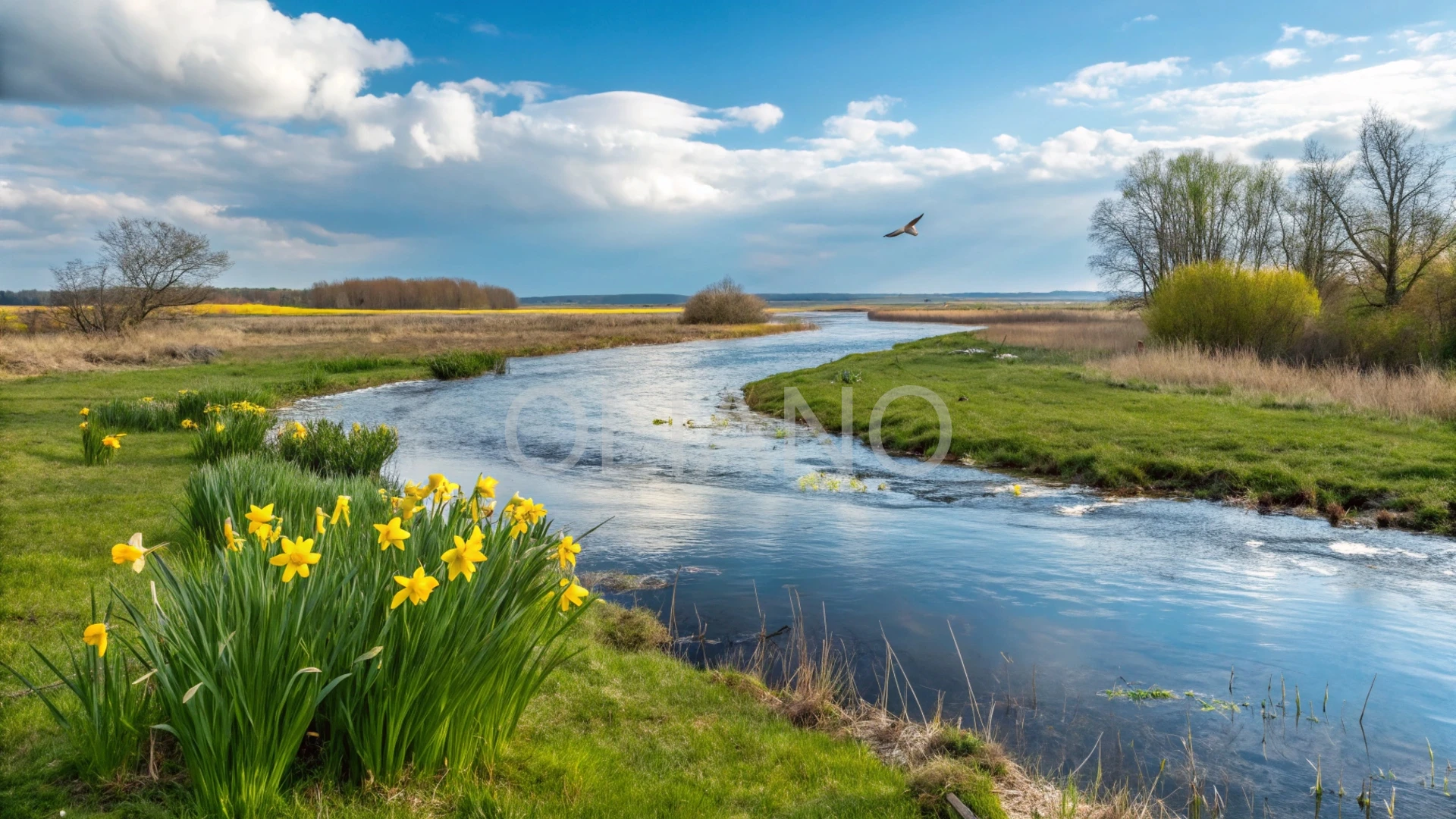 Melting River Awakening