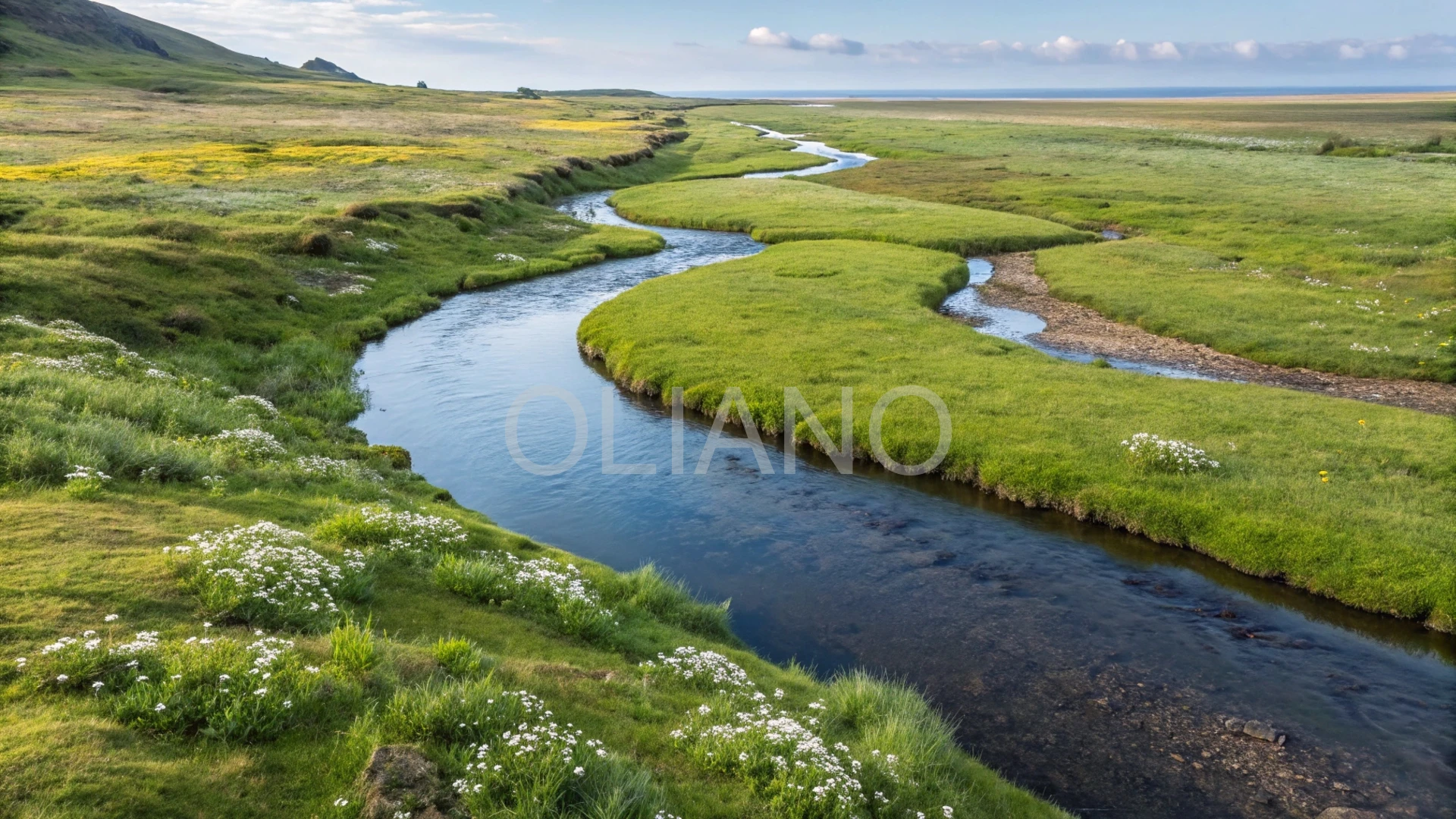 Meandering Stream Purity