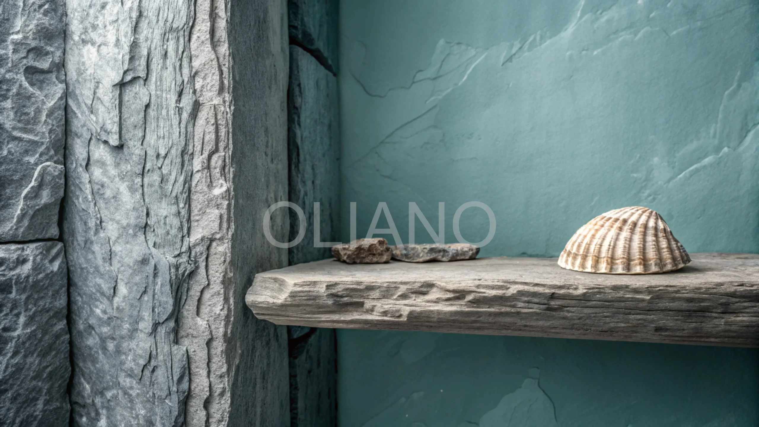 Barnacle Shell Coastal Rock