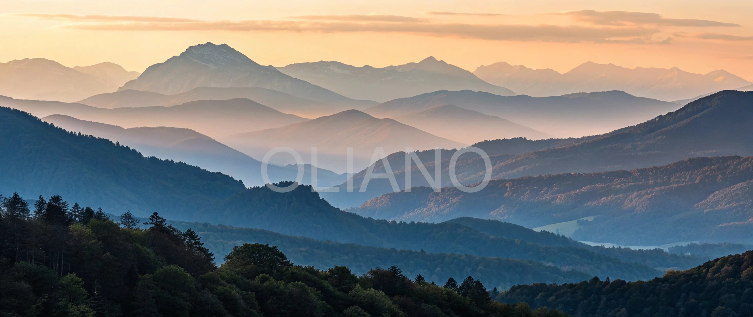 Gentle Dawn Unveiling