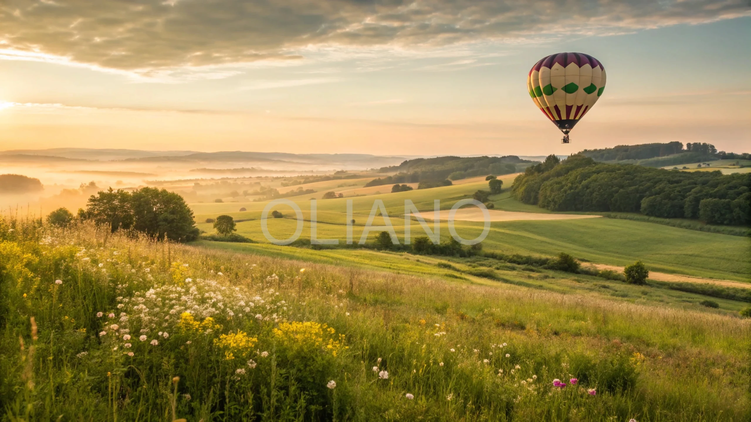 Hot Air Balloon Summer