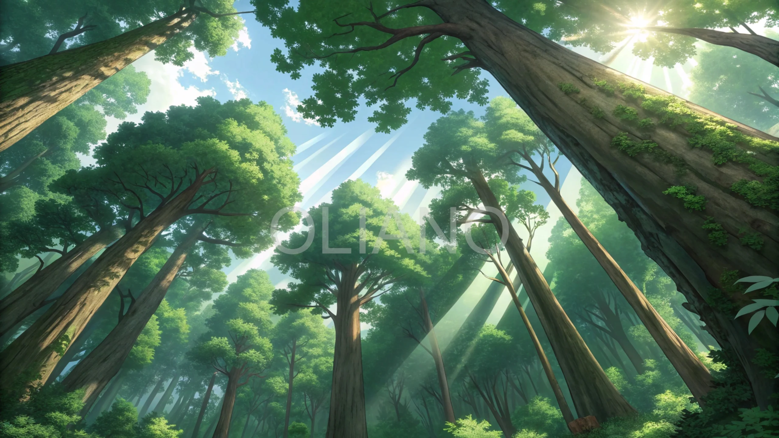 Ancient Forest Canopy