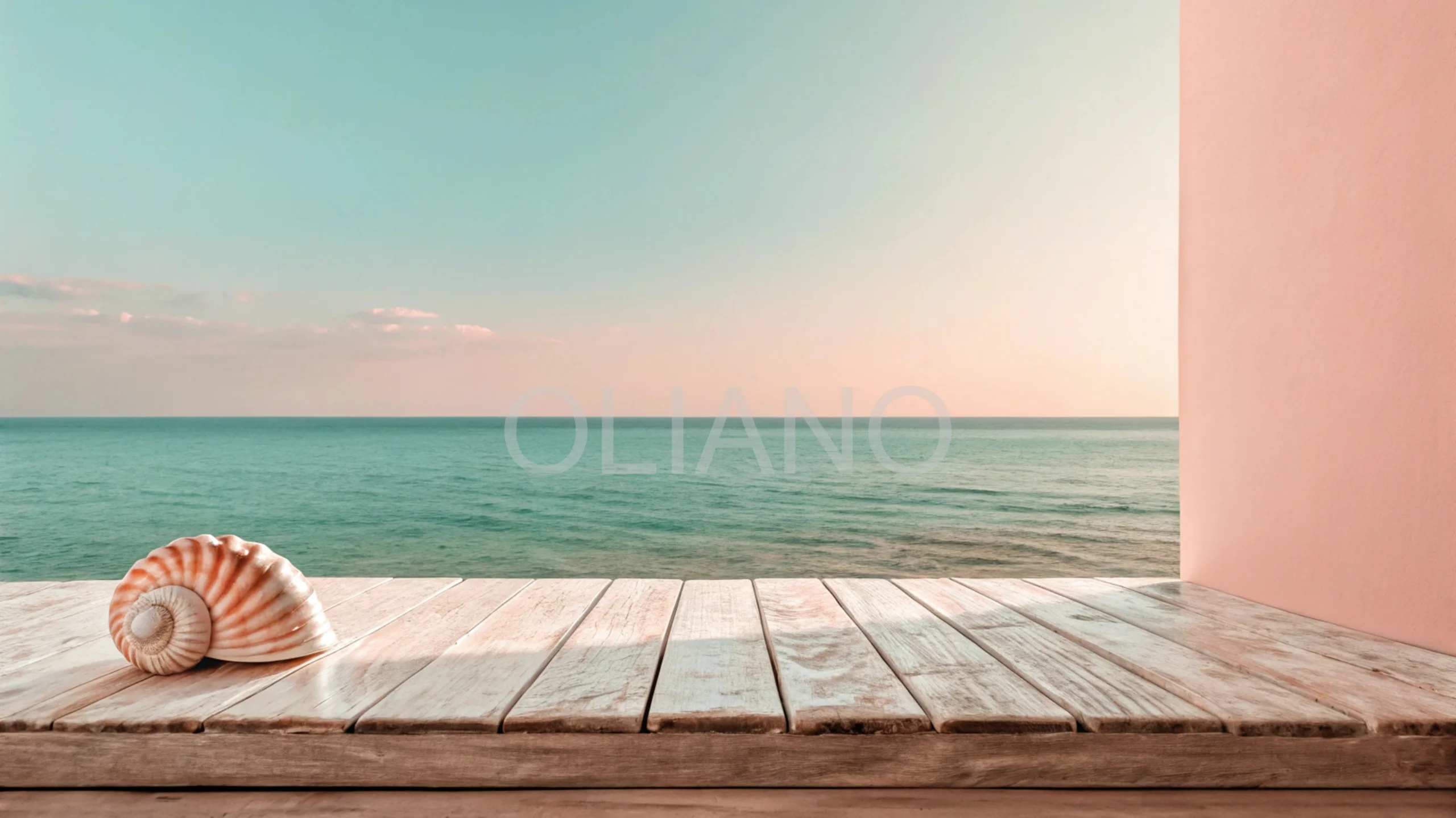 Seashell Oceanic Breeze