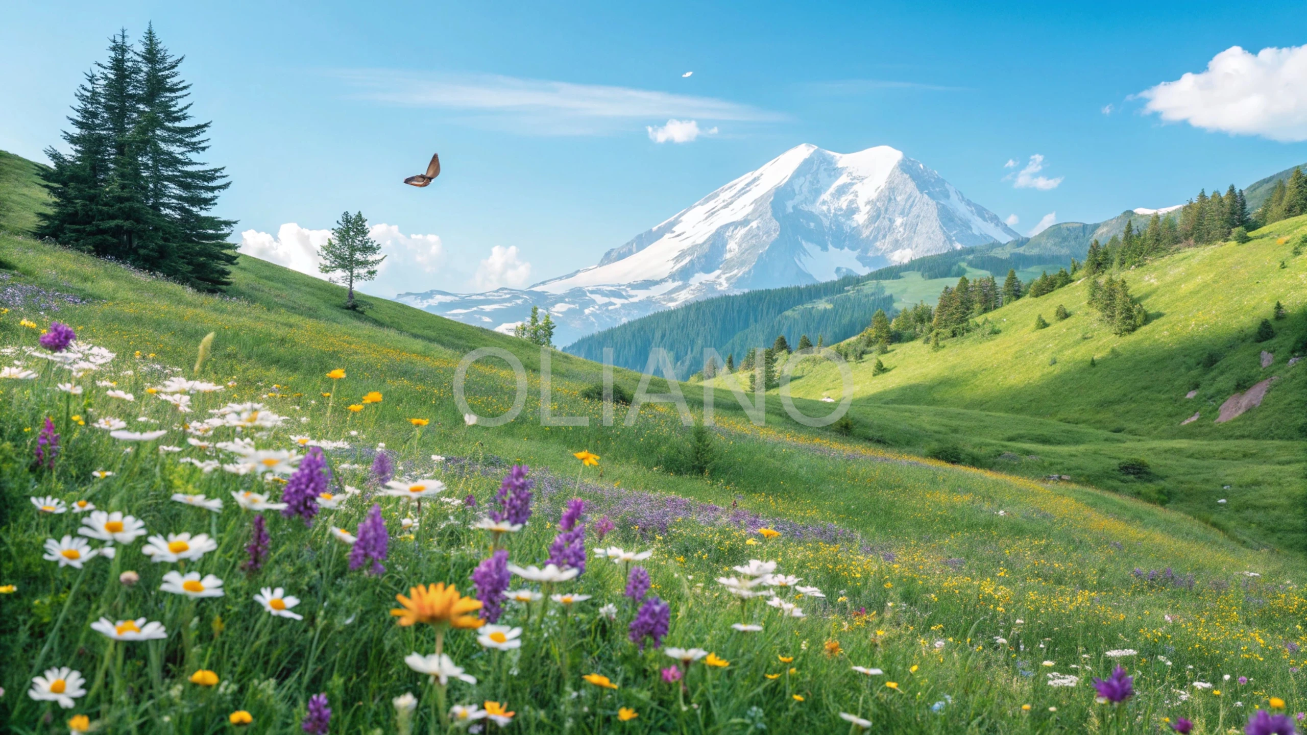 Season Motifs Pack (10 files, 2560x1440)