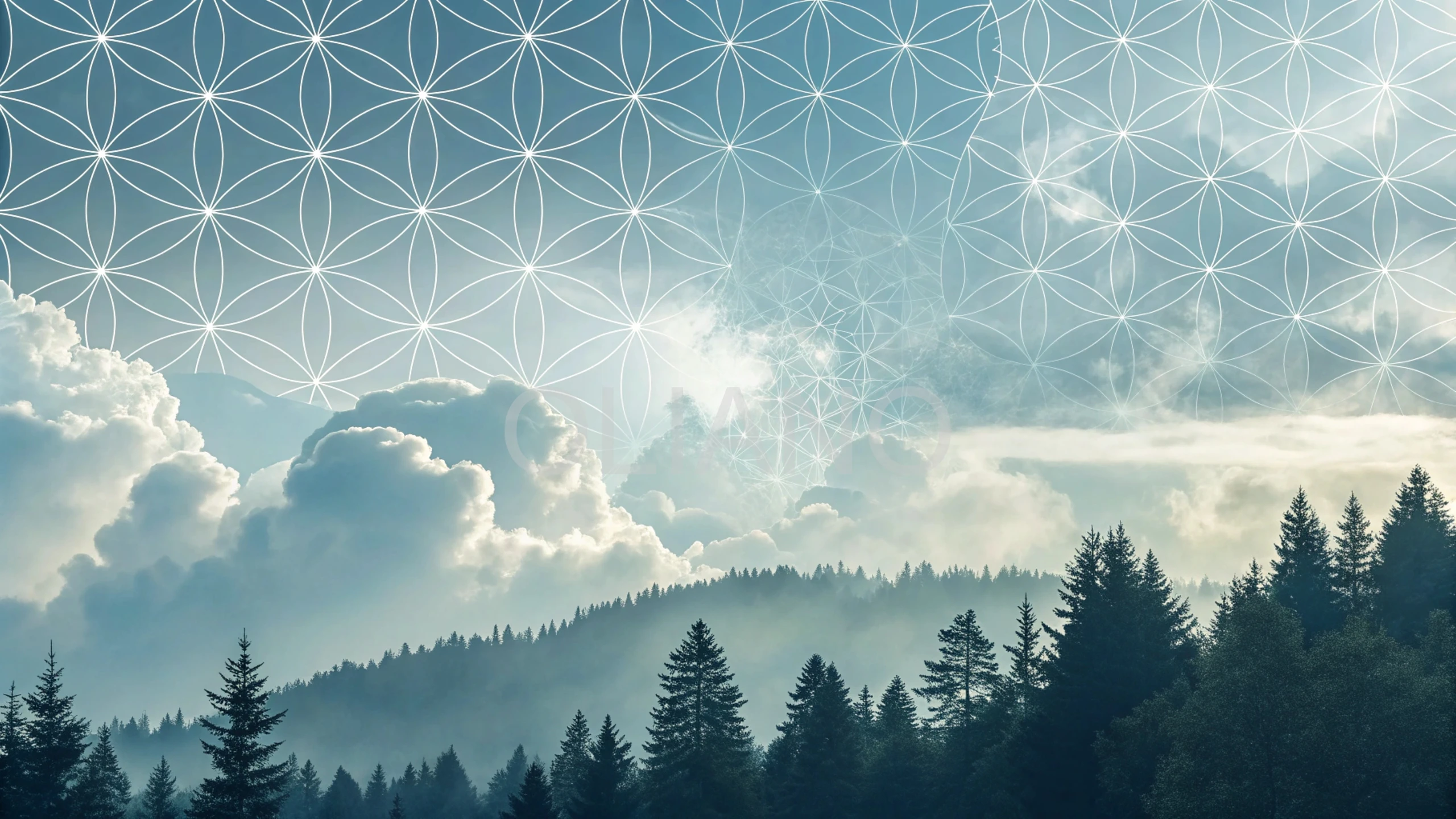 Abstract Cloud Polygons