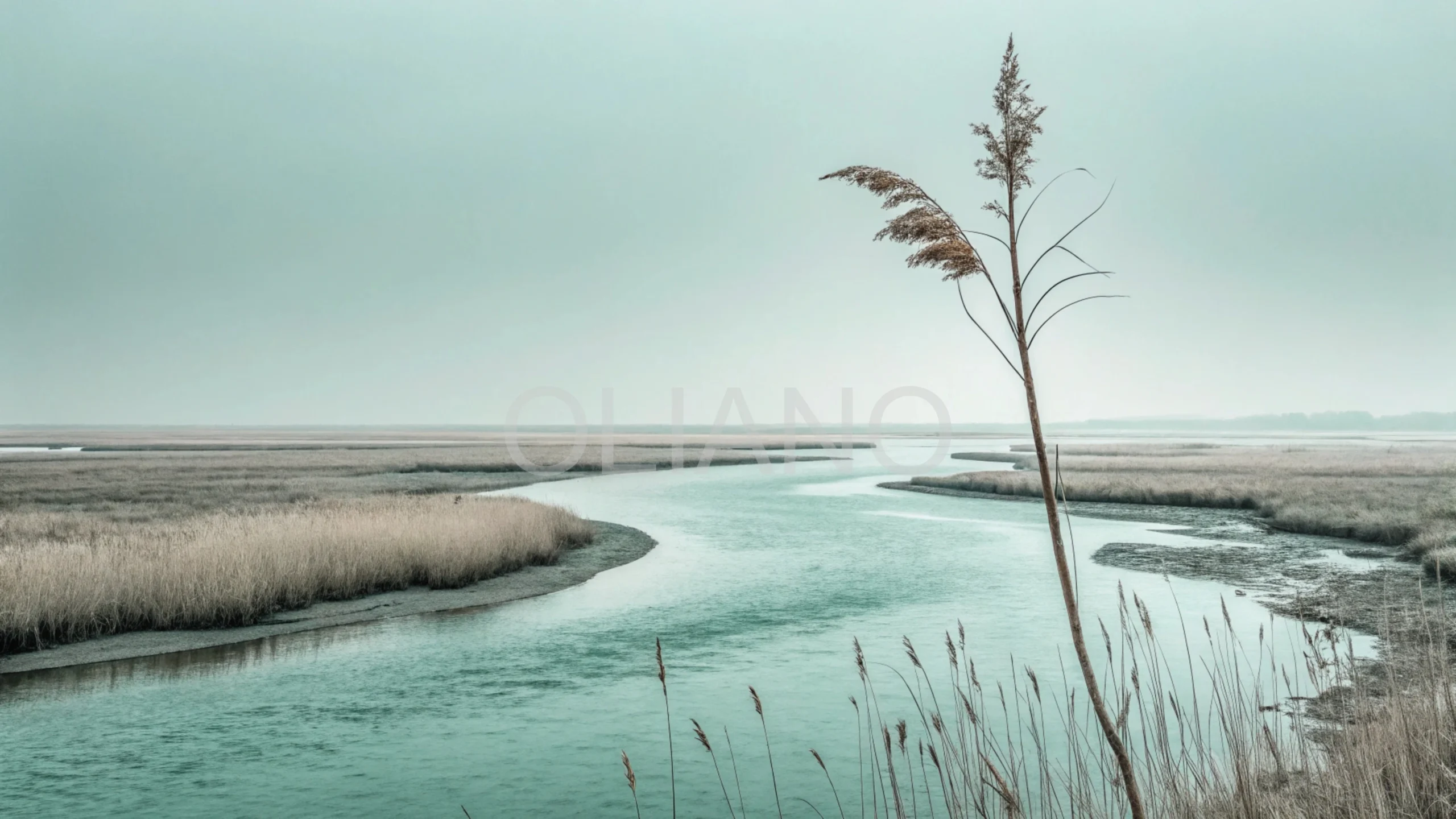 Reed Fragment River Delta