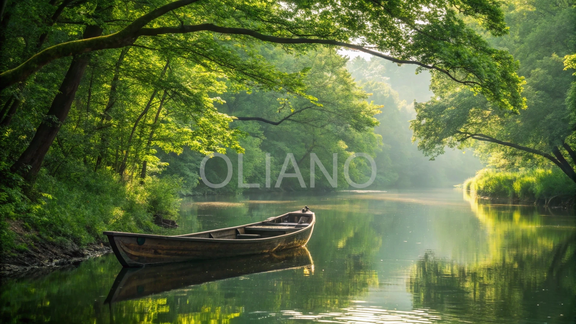 River Boat Idyllic Summer