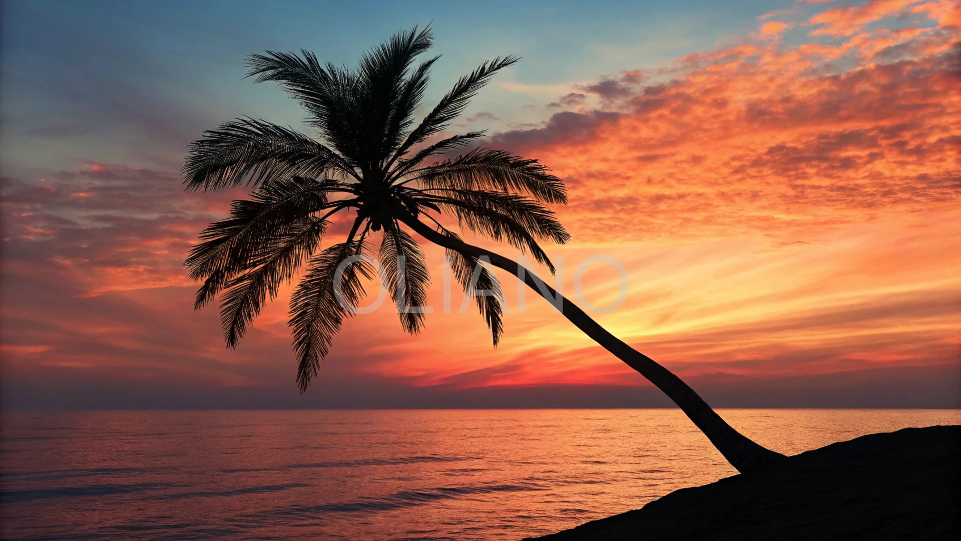 Tropical Sunset Silhouette