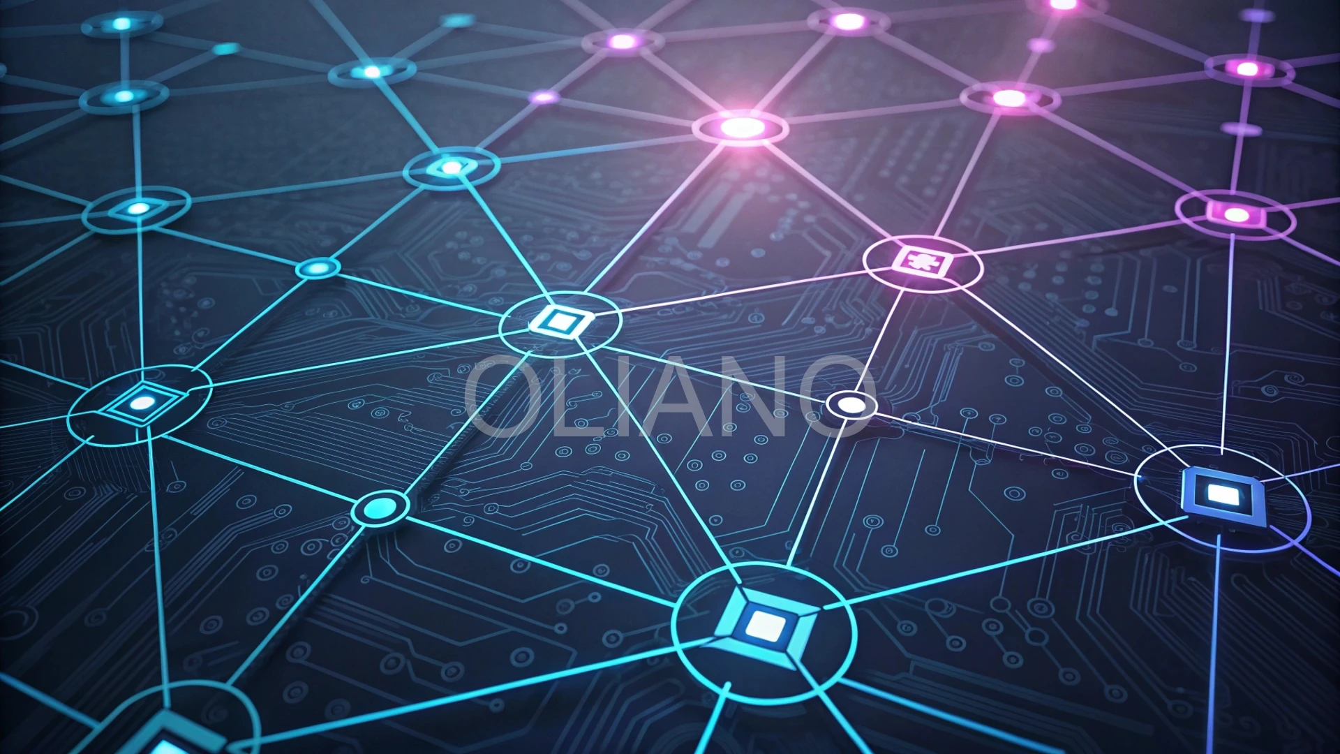 Digital Network Grid