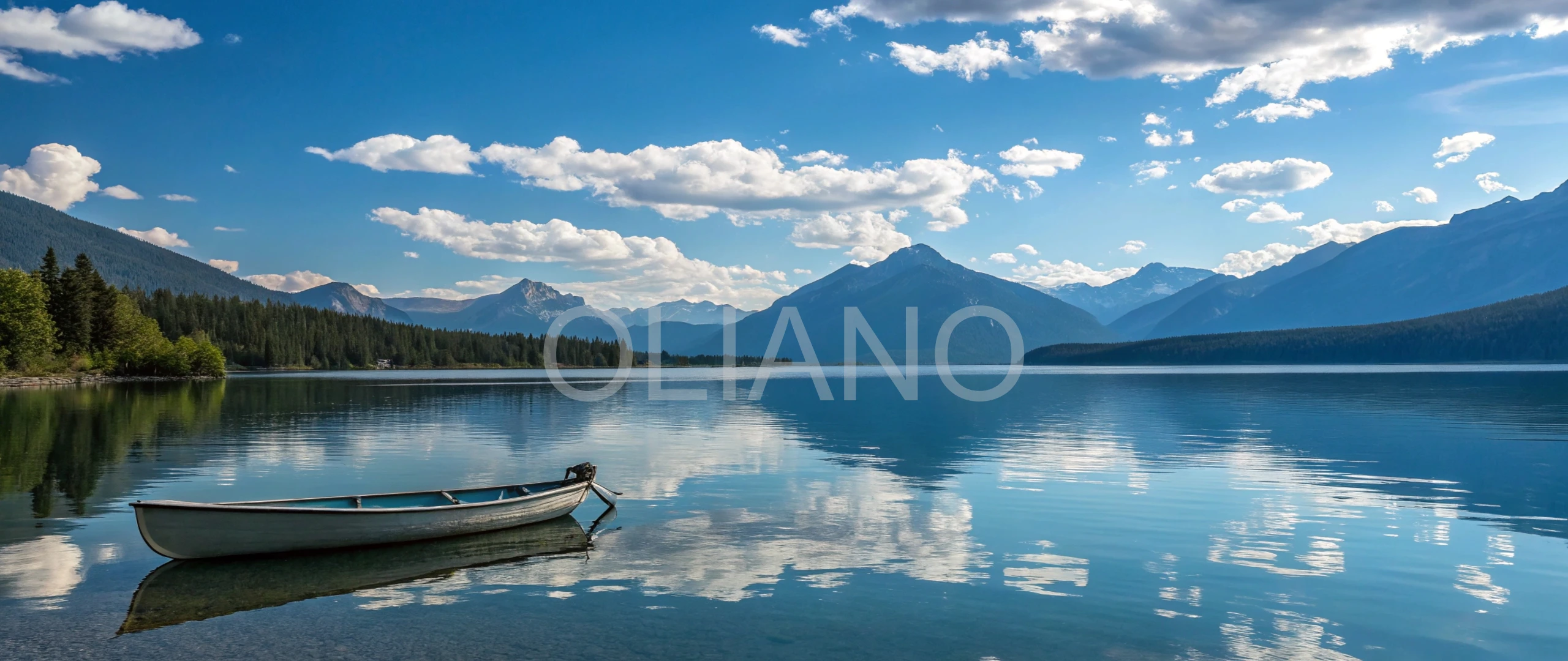 Contemplative Rowboat Lake