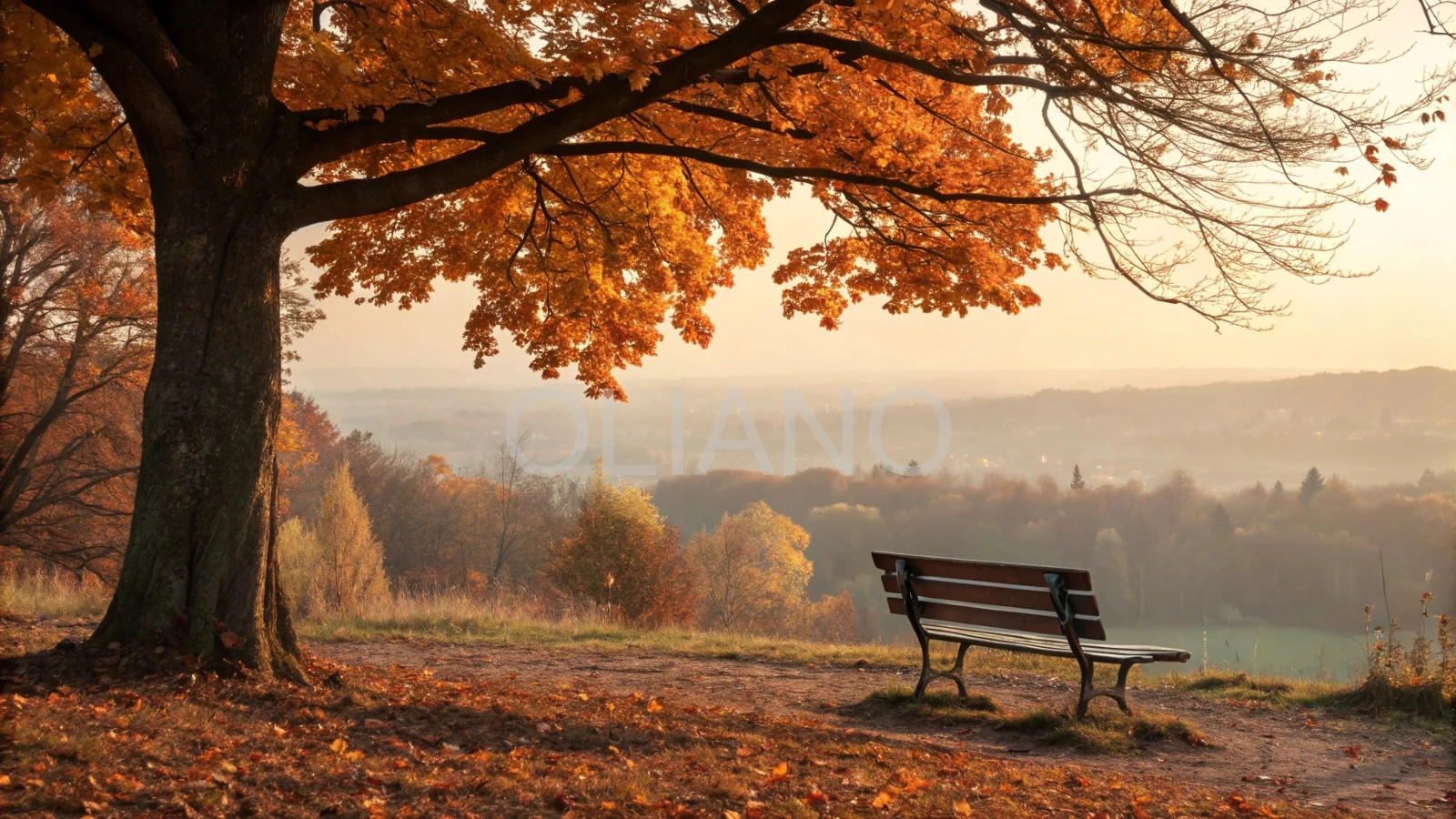 Autumn Valley Bench