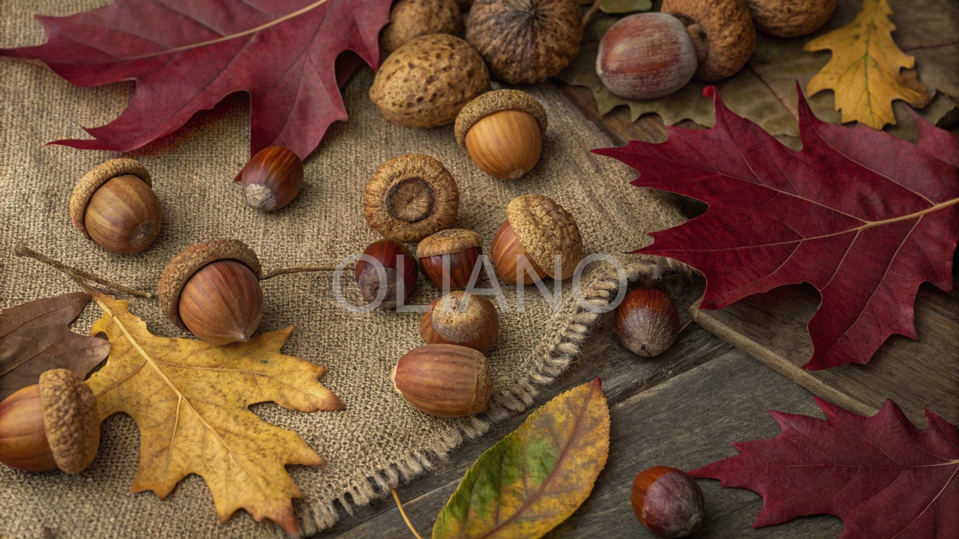 Autumn's Nutty Bounty