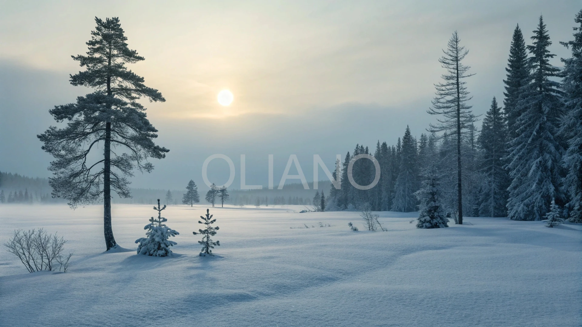 Nordic Winter Serenity