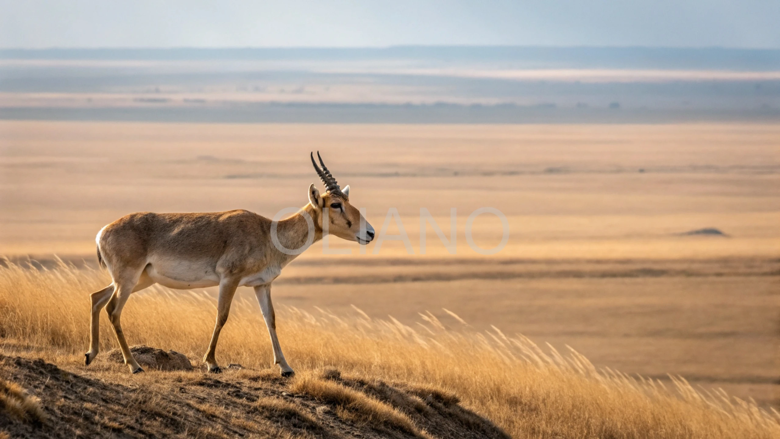 Saiga’s Steppe Mask