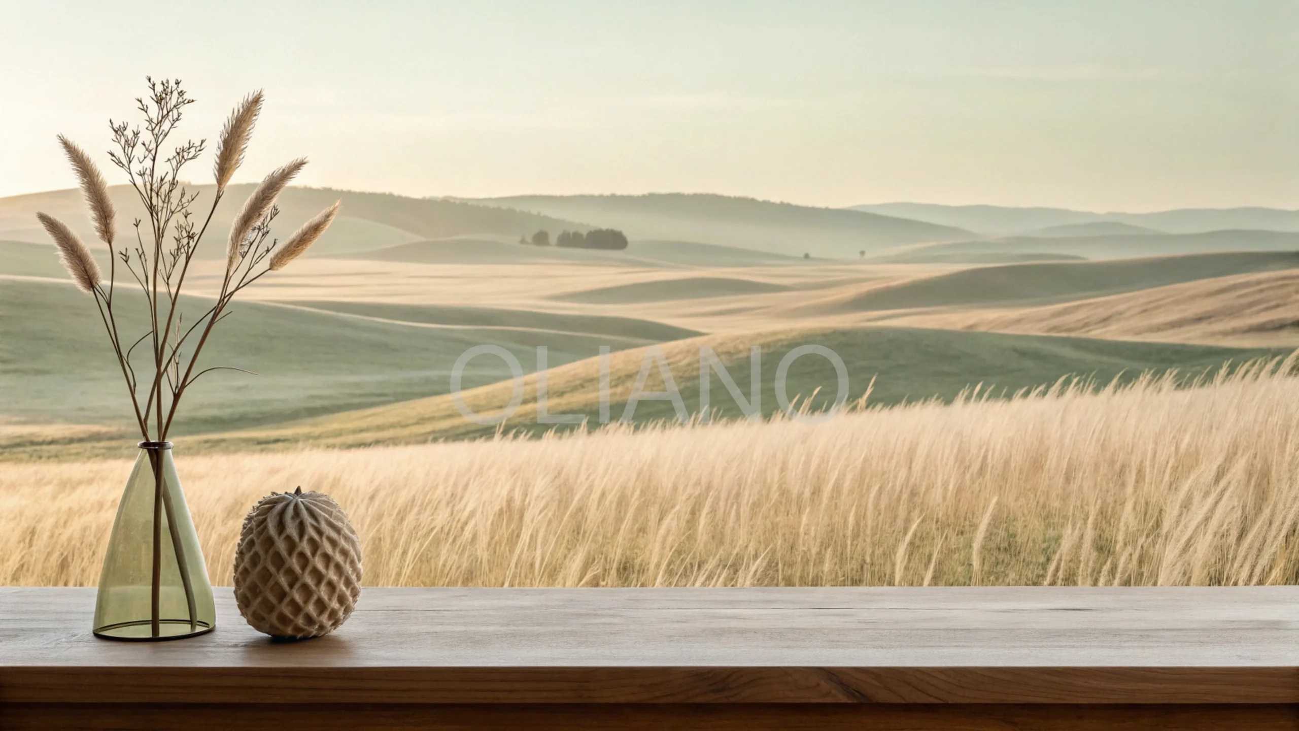 Milkweed Pod Prairie Glow