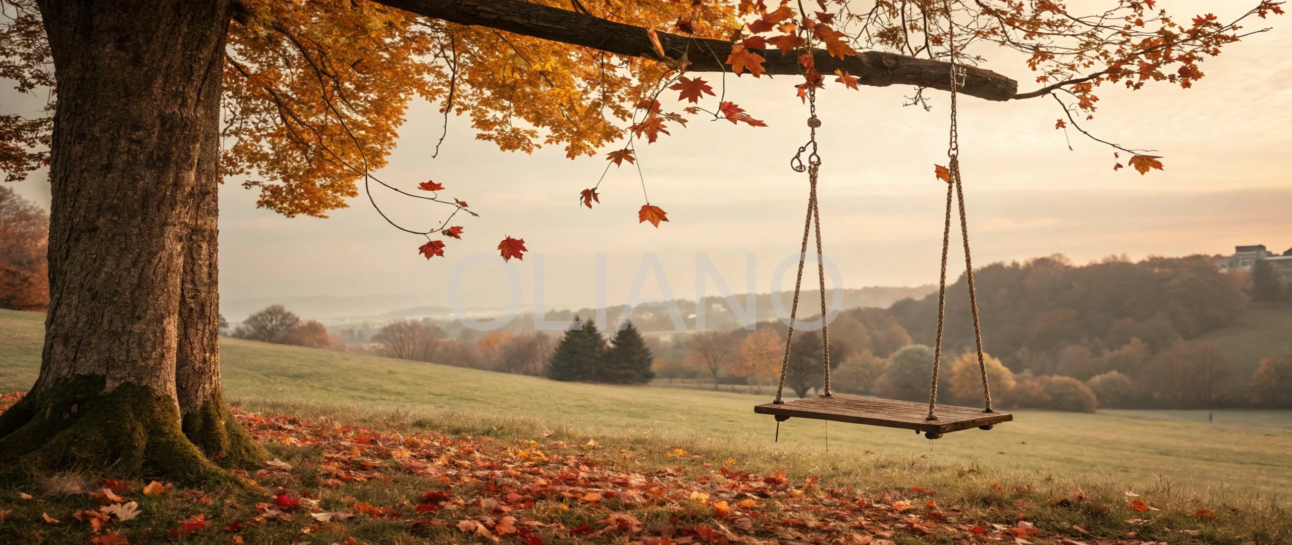 Autumn Swing Serenity