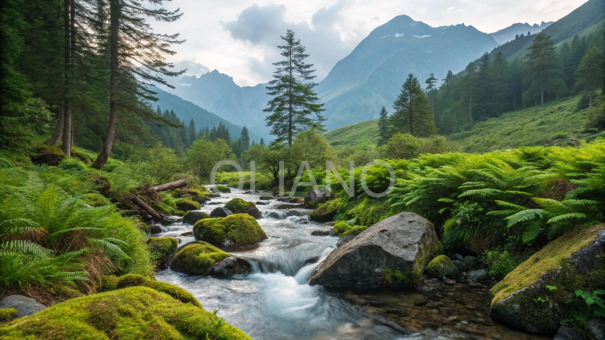 Harmony Stream Cascade