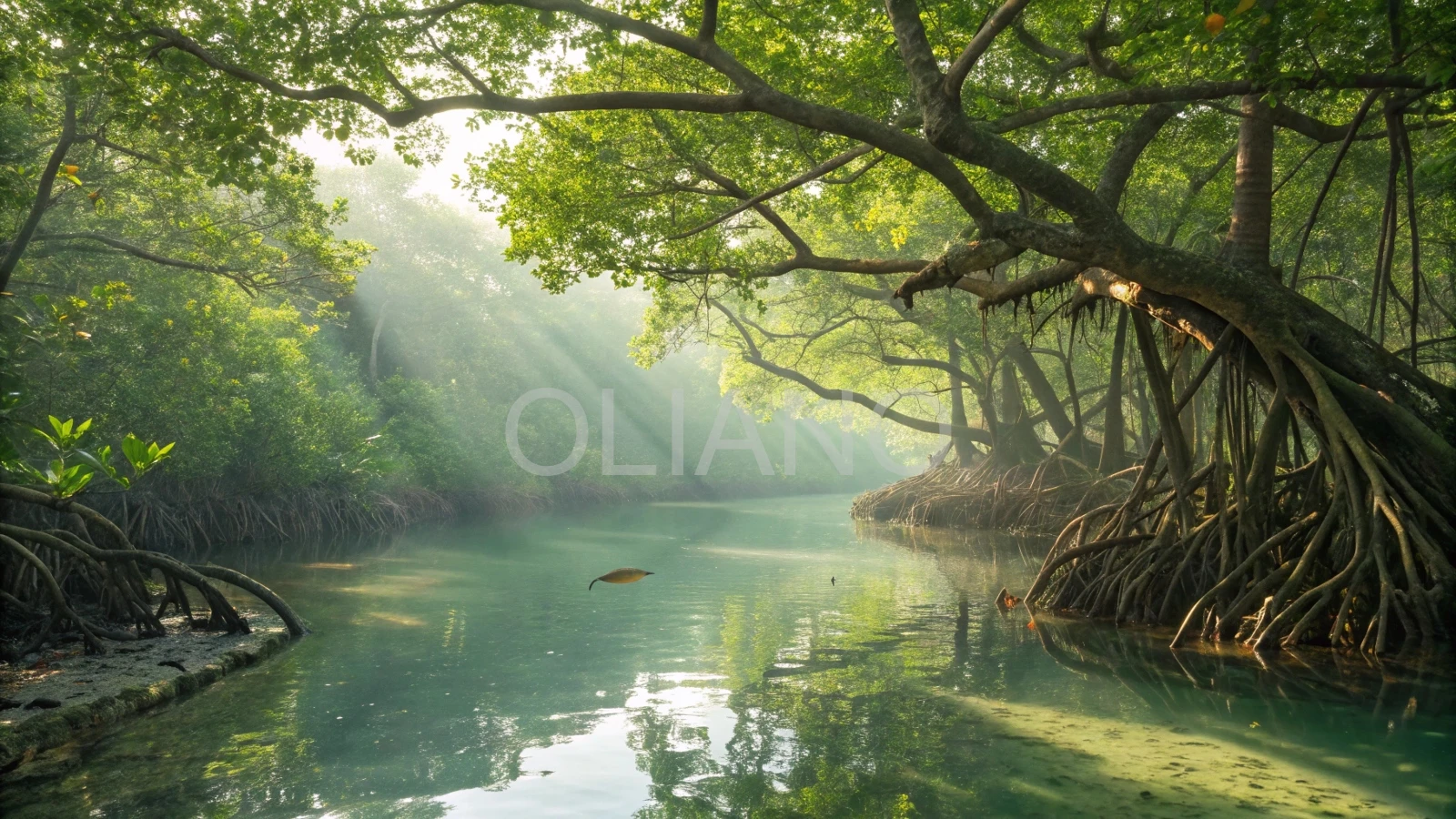 Mangrove Forest Serenity