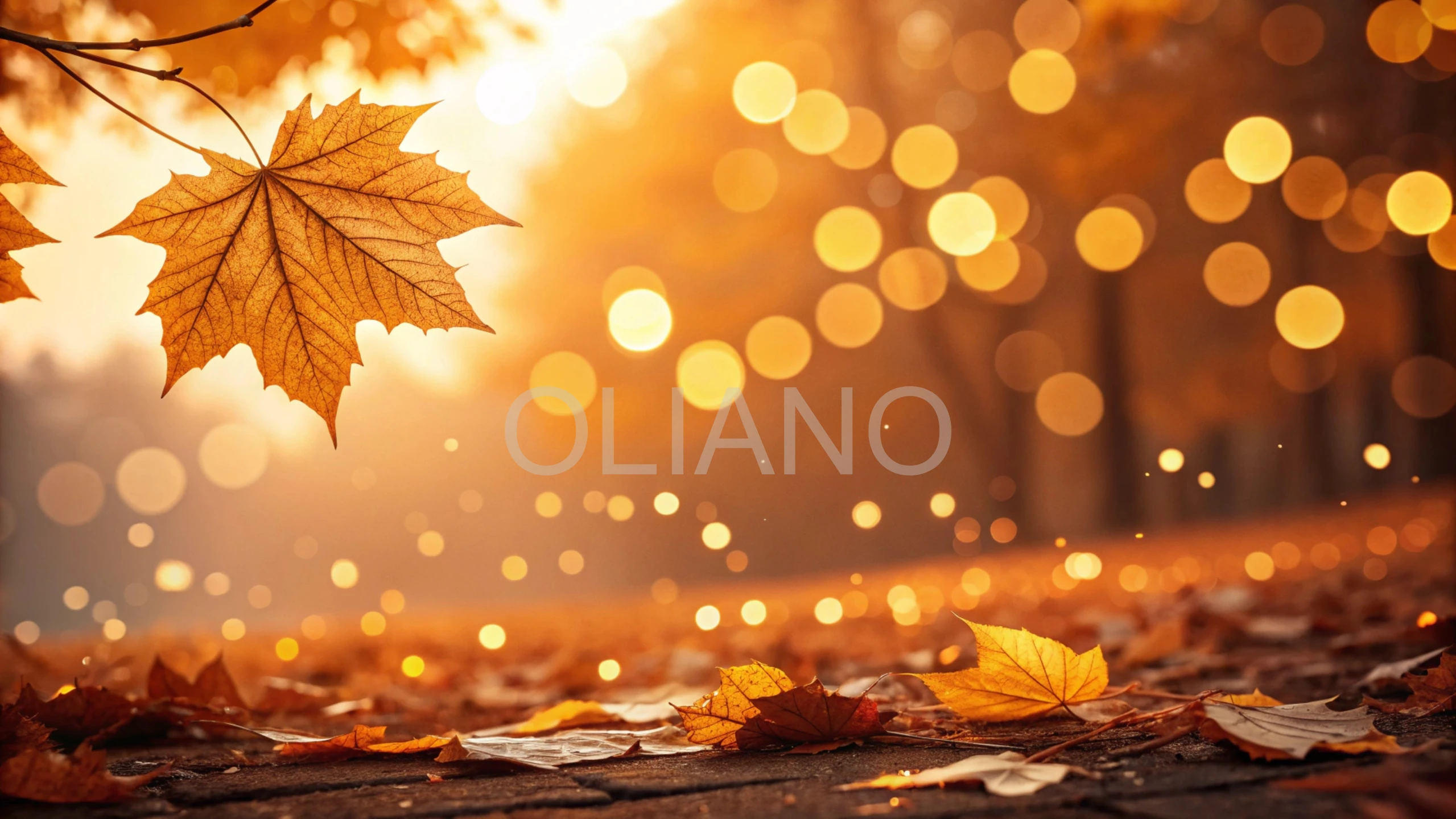 Amber and gold glowing bokeh