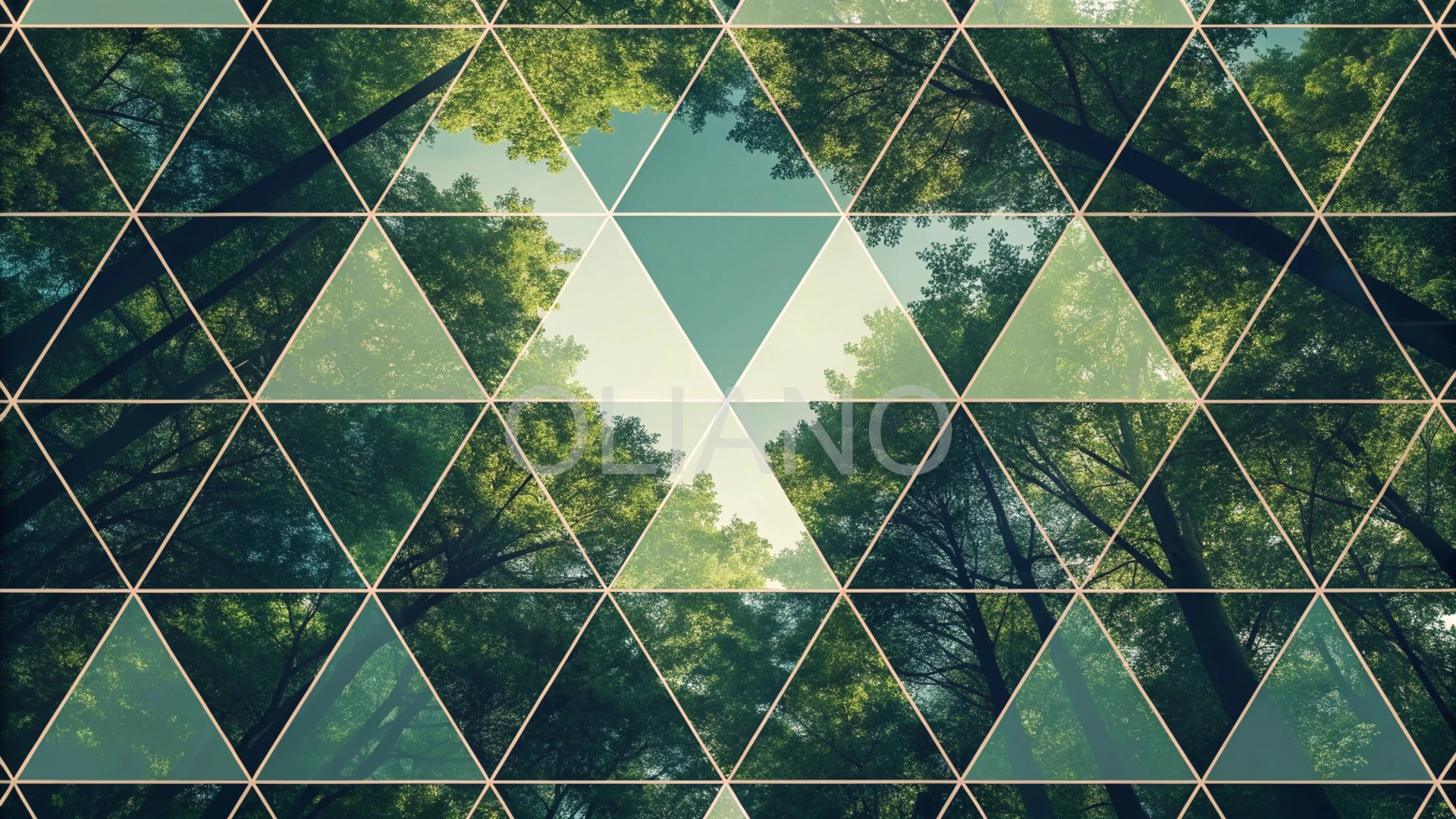 Abstract Forest Canopy