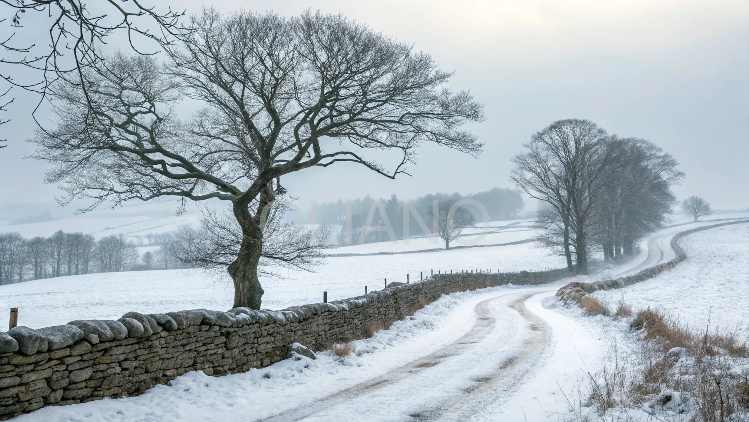 Seasons Pack (10 files, 2560x1440)