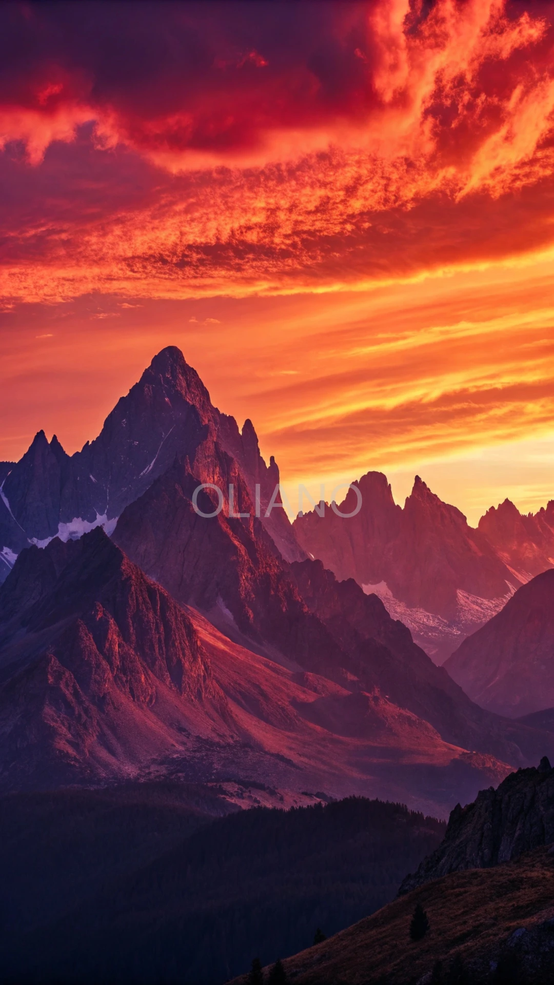 Surreal Sunset Silhouettes