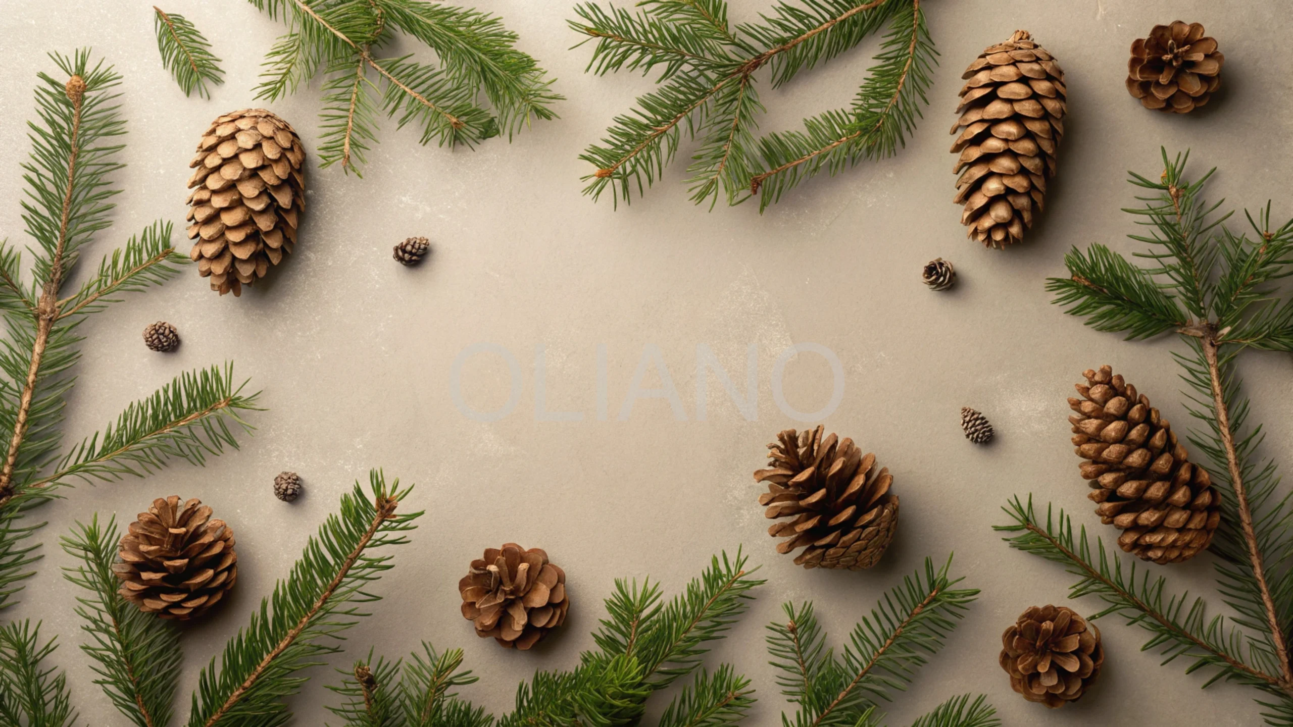 Minimalist pinecones and evergreen
