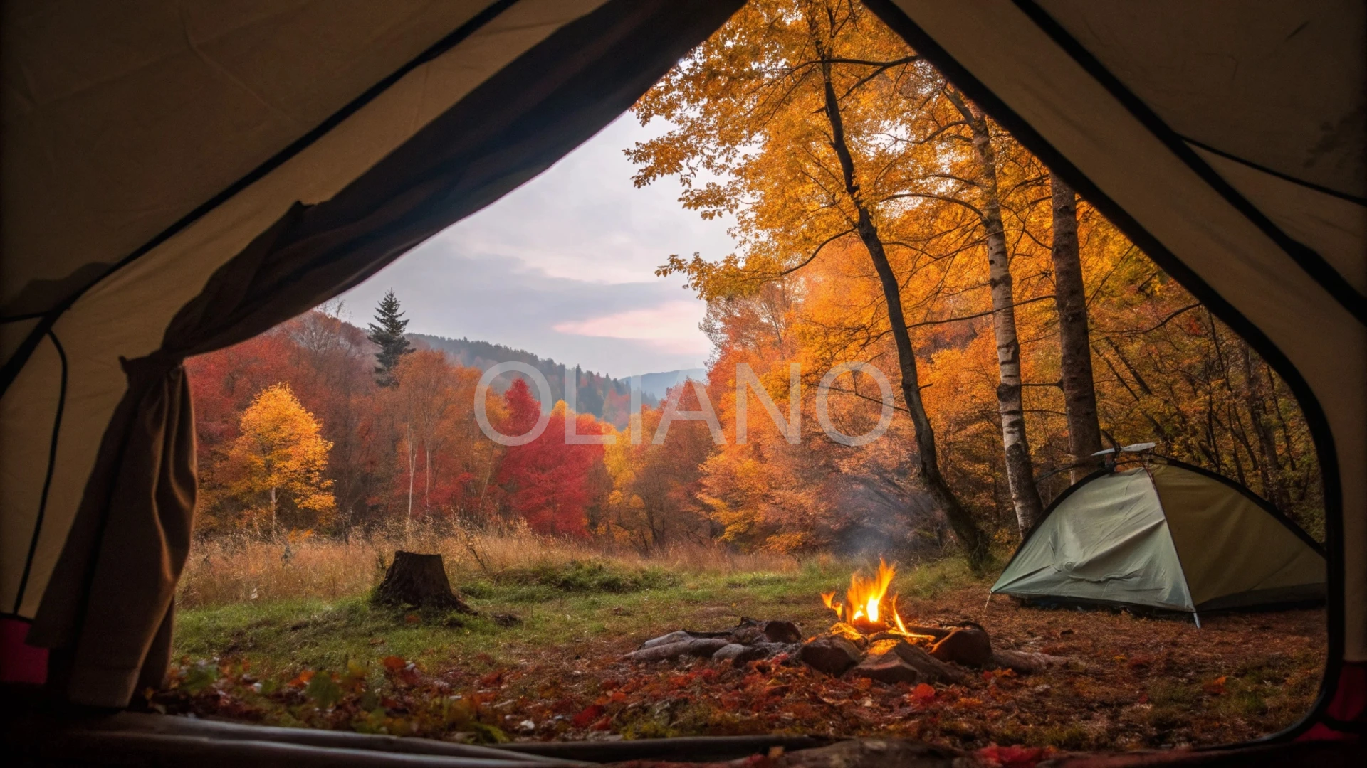 Autumn Camping Warmth