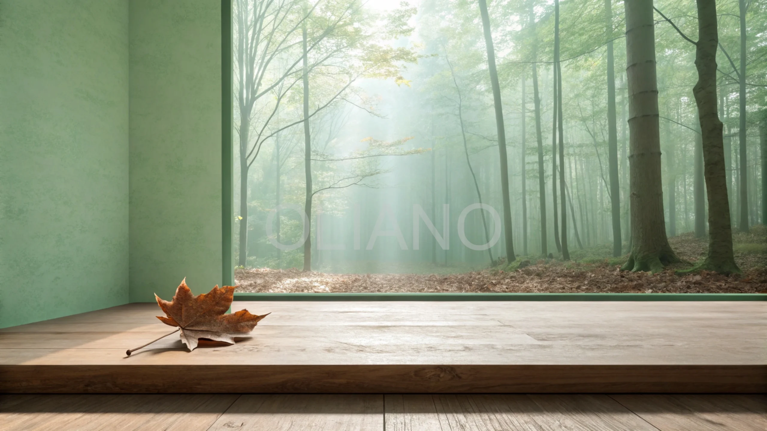 Leaf Forest Clearing